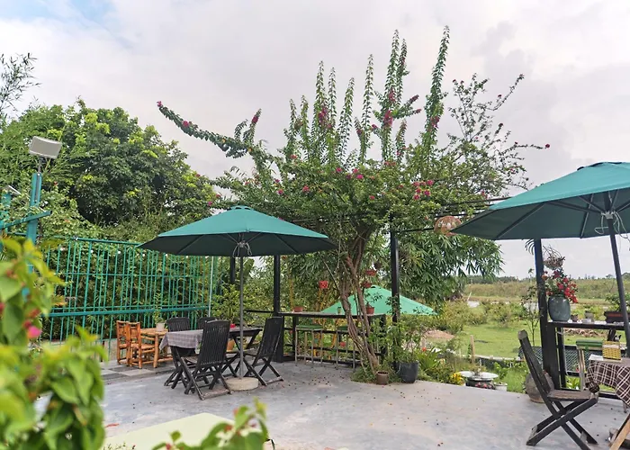 Calm House Hotel Hoi An 1